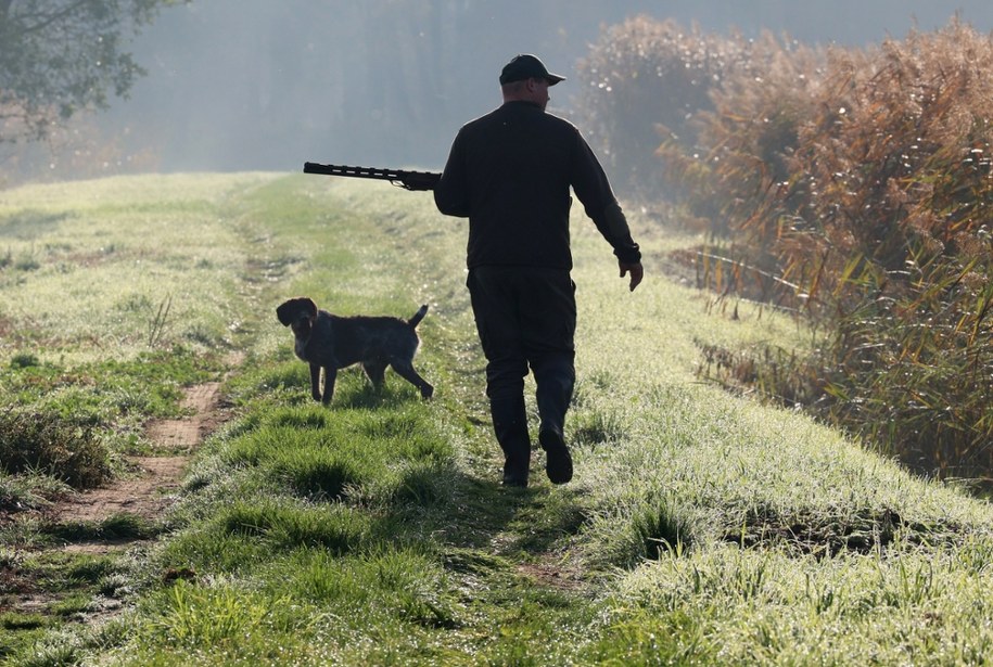 Zdj. poglądowe /Shutterstock