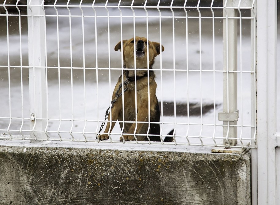 Zdj. poglądowe /Shutterstock