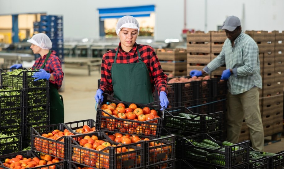 Zdj. poglądowe /Shutterstock