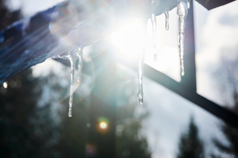 Zdj. poglądowe /Shutterstock