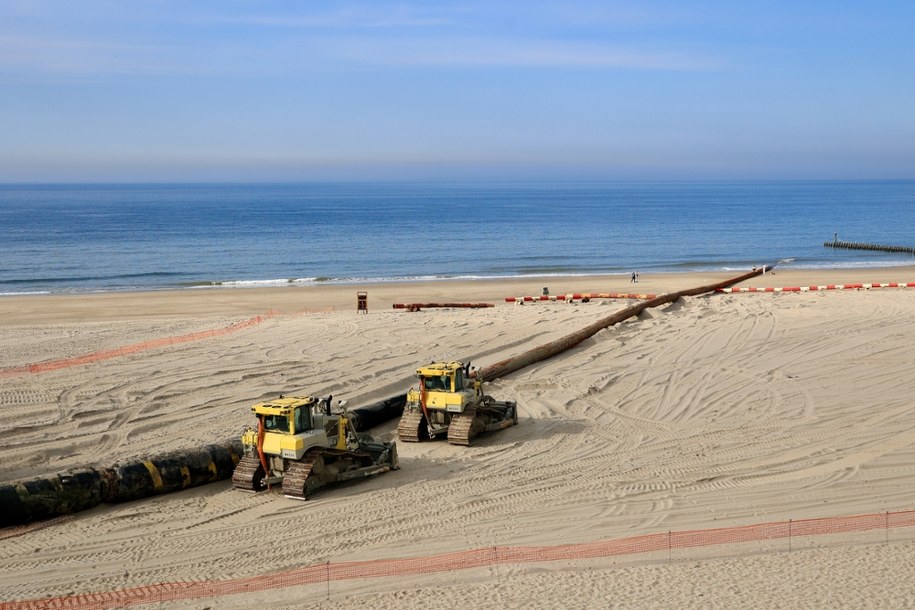 Zdj. poglądowe /Shutterstock