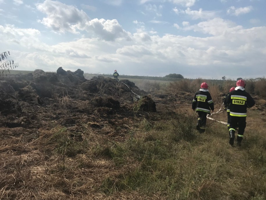 Zdj. z miejsca zdarzenia /Krzysztof Kot /RMF FM