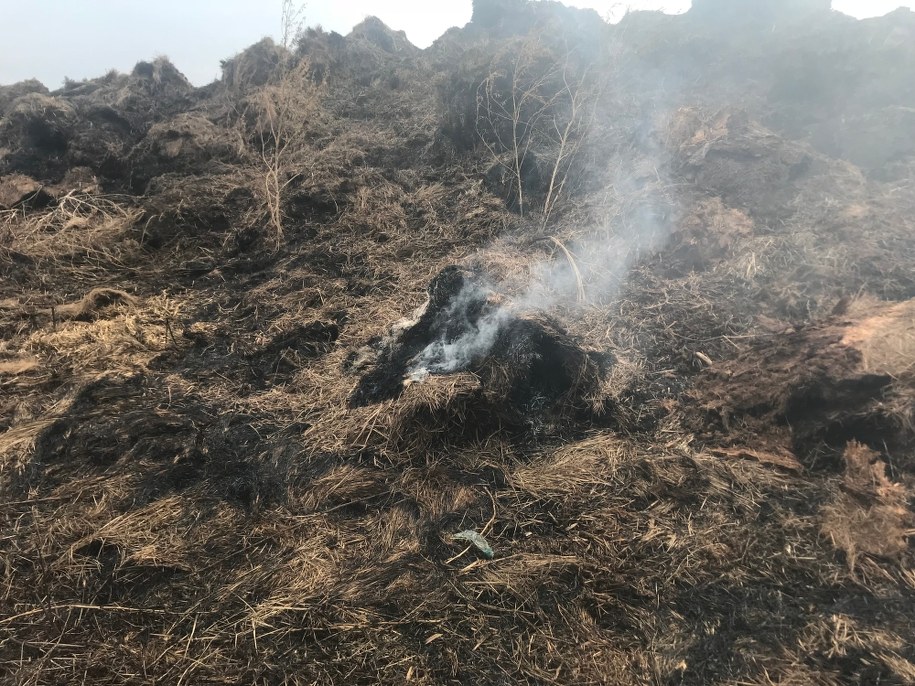 Zdj. z miejsca zdarzenia /Krzysztof Kot /RMF FM