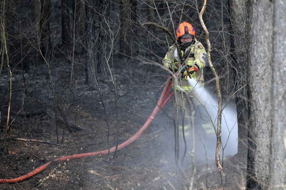 Zdj. z niedzieli - strażacy dogaszają pożar, do którego doszło na łące znajdującej się w pobliżu lasu przy trasie S8 w okolicach Zielonki pod Warszawą /Piotr Nowak /PAP