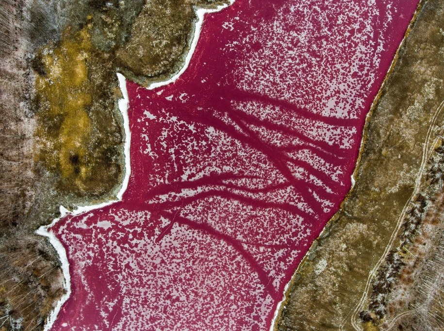 Zdj. zamarzniętego stawu /Alexander Ryumin /PAP/EPA