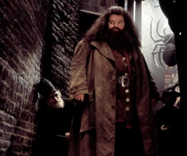 Zdjęcia do "Harry'ego Pottera" trwają. Poznajcie nowego Rubeusa Hagrida