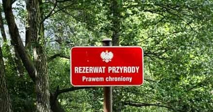 Zdjęcia przedstawiające poziom szumów /INTERIA.PL - Adam Nietresta