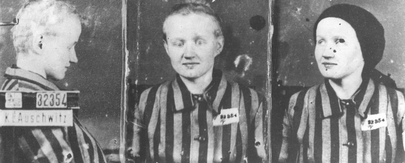 Zdjęcia Stefanii z obozu. /Muzeum Auschwitz /
