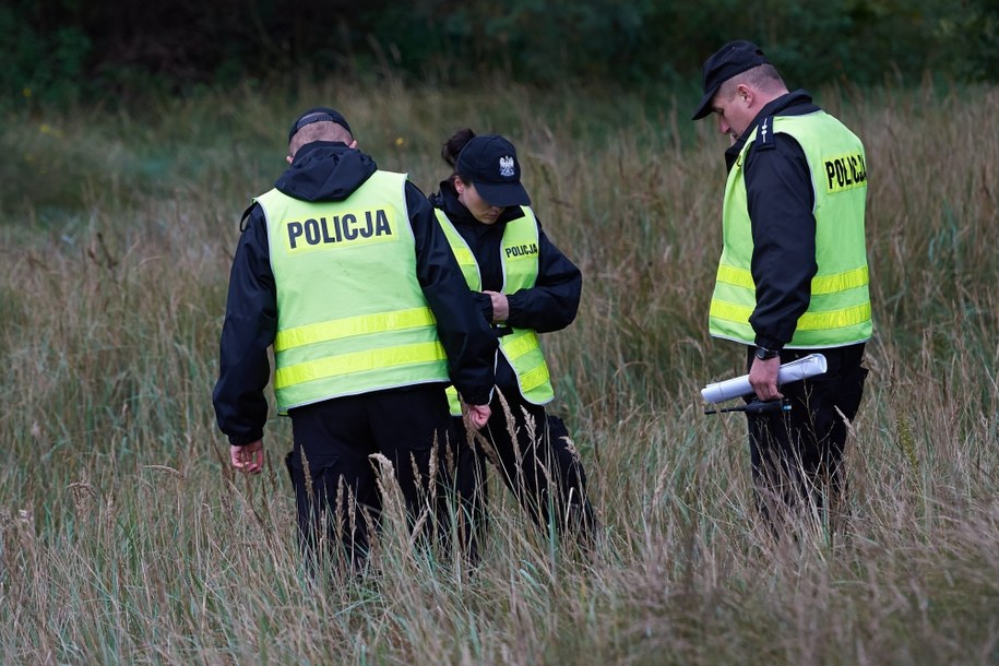 Zdjęcia z 2017 roku. Policja przeczesuje pas nadmorski w Gdańsku / 	Adam Warżawa    /PAP