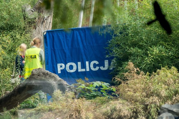 Zdjęcie archiwalne. Policja podczas działań na wybiegu dla tygrysów na terenie Ogrodu Zoologicznego /Maciej Kulczyński /PAP