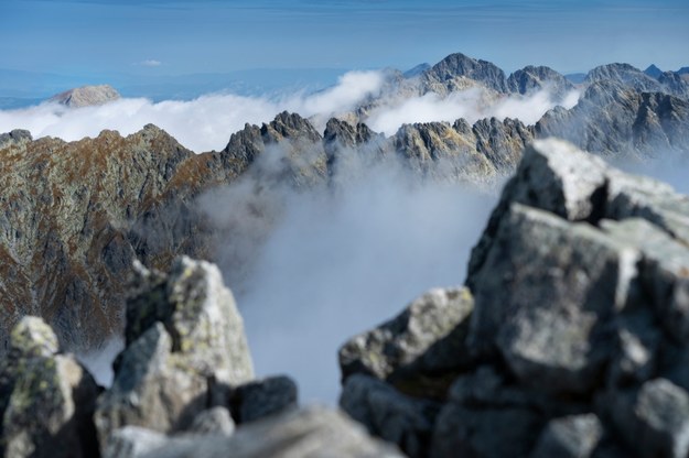 Zdjęcie ilusracyjne /Shutterstock