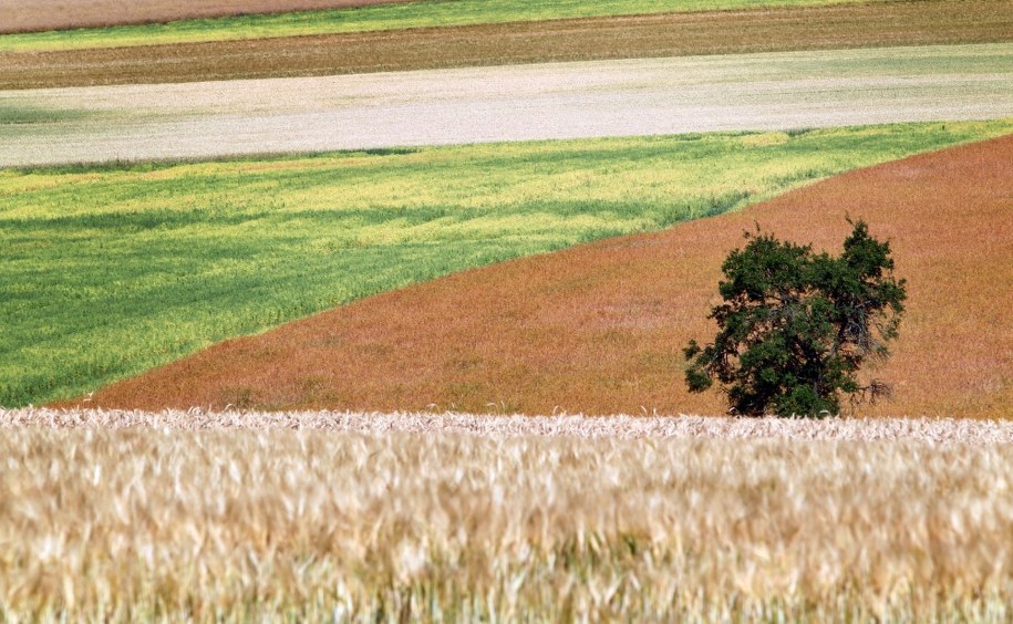 Prognoza pogody na najbliższe dni