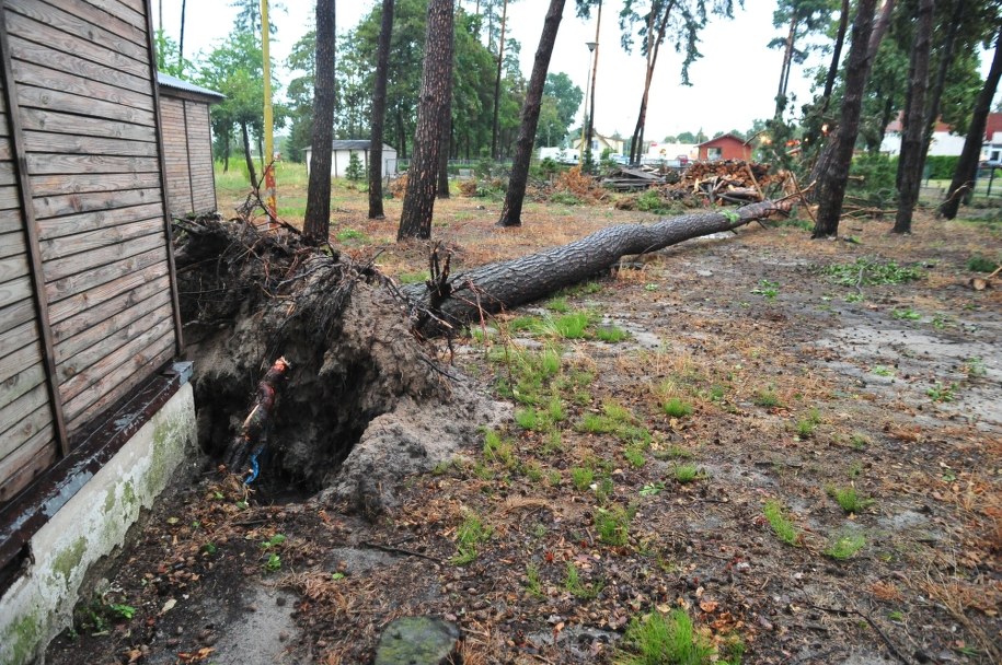 Zalane domy, połamane drzewa. Ponad 1300 interwencji po burzach