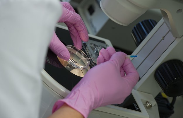 Izba Gmin za kontrowersyjną metodą in vitro: Wykorzystanie DNA trzech osób