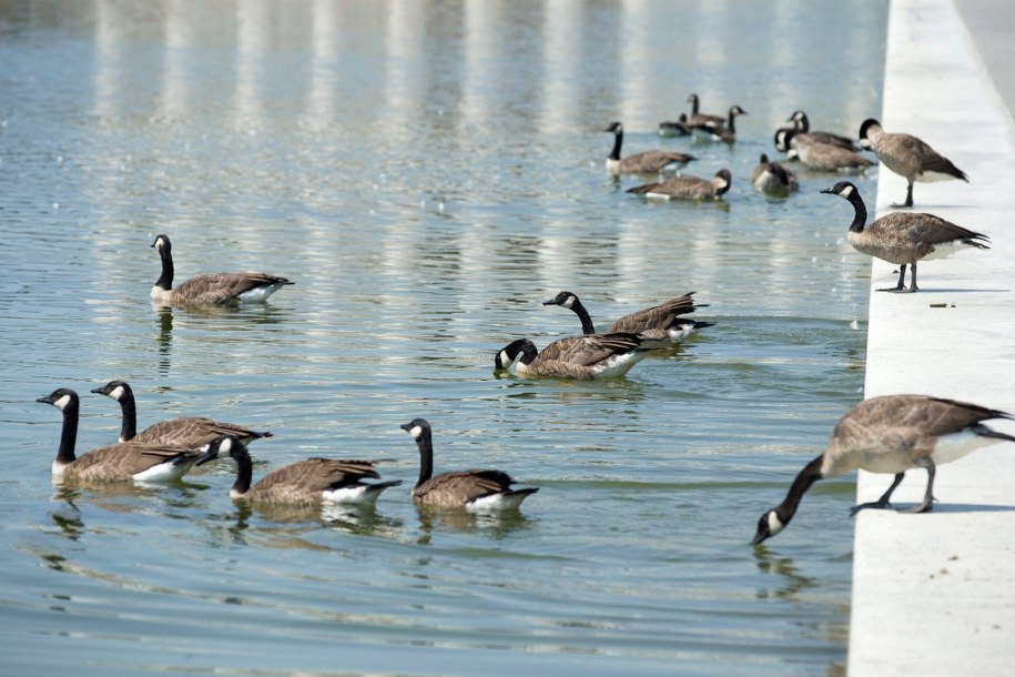 Pogoda: W ciągu dnia ponad 25 stopni, ale noce chłodne