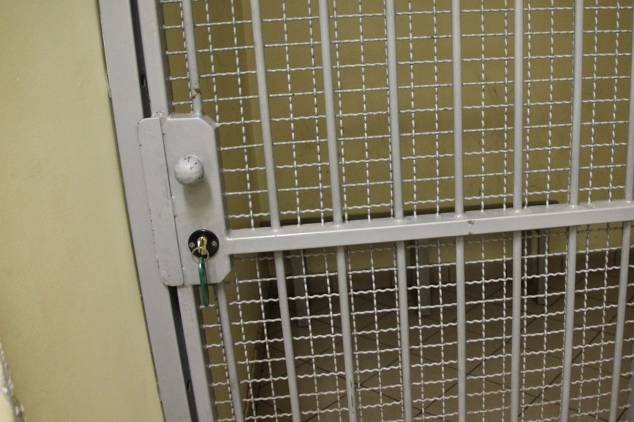 Oszukiwali metodą "na policjanta". Pokrzywdzeni stracili 580 tys. zł złotych