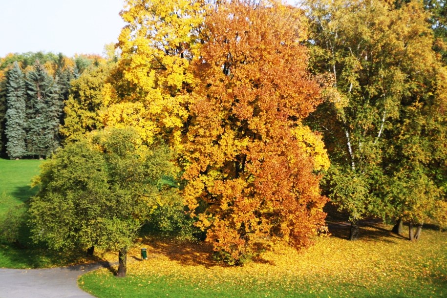 Pogoda: Dziś sporo słońca. Jakie będą kolejne dni?
