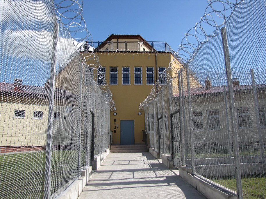 73-latek zabił sąsiadkę, bo chciała przyciąć gałąź jego drzewa