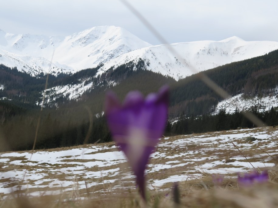 Tatry: Turysta spadł w rejonie Koziej Przełęczy Wyżniej