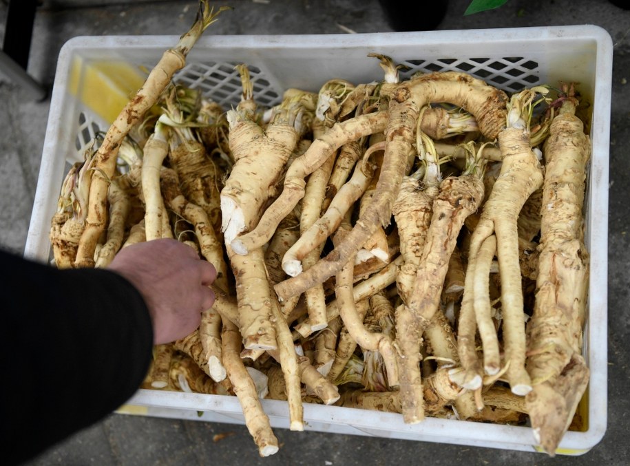 Wielkanocny koszyk. Co powinno się w nim znaleźć?