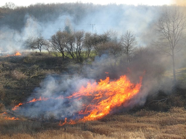 Rekordowa liczba pożarów traw na Mazowszu