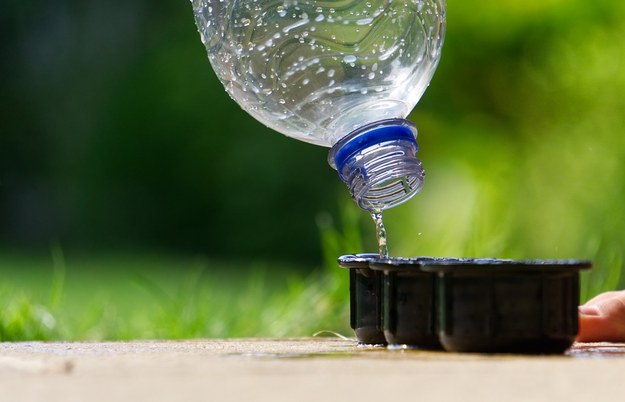 WHO: Mikroplastik w wodzie pitnej to minimalne ryzyko dla zdrowia