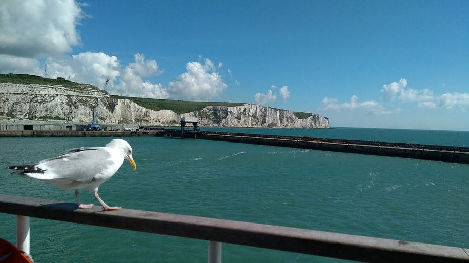 Kapitan zawrócił prom, żeby ratować człowieka w kanale La Manche
