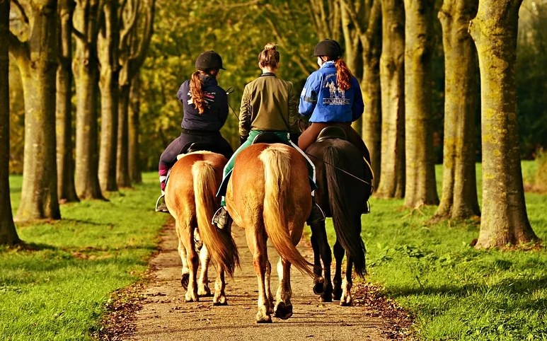Auto wjechało w grupę jeźdźców. Polka ciężko ranna