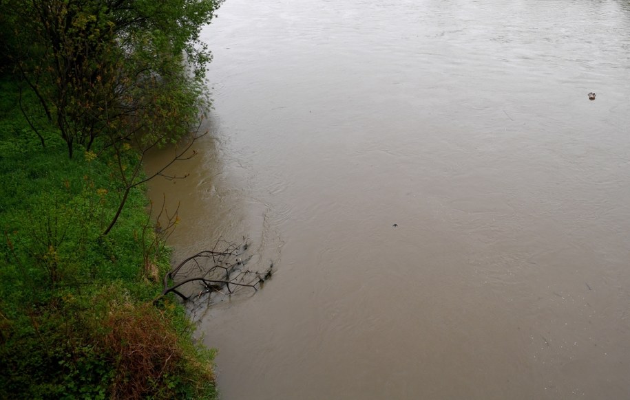 Makabryczne odkrycie w Jaśle. Nad rzeką znaleziono zwłoki