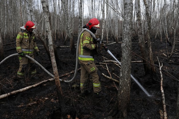 Prawie wszystkie pożary lasów i traw spowodowane podpaleniami lub nieostrożnością