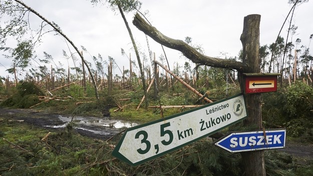 Tragedia w Suszku. Organizatorzy obozu harcerskiego nie przyznają się do winy