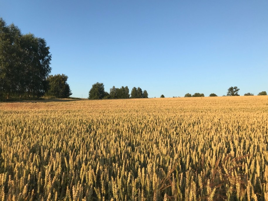 W czterech województwach wciąż jest sucho