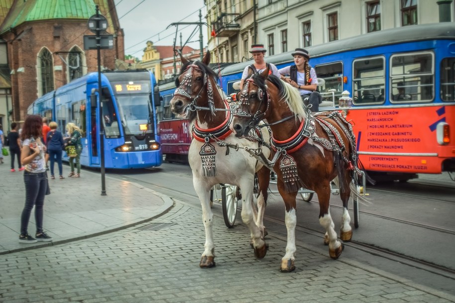 6 zł za normalny bilet godzinny? Kraków chce drastycznie podnieść ceny biletów