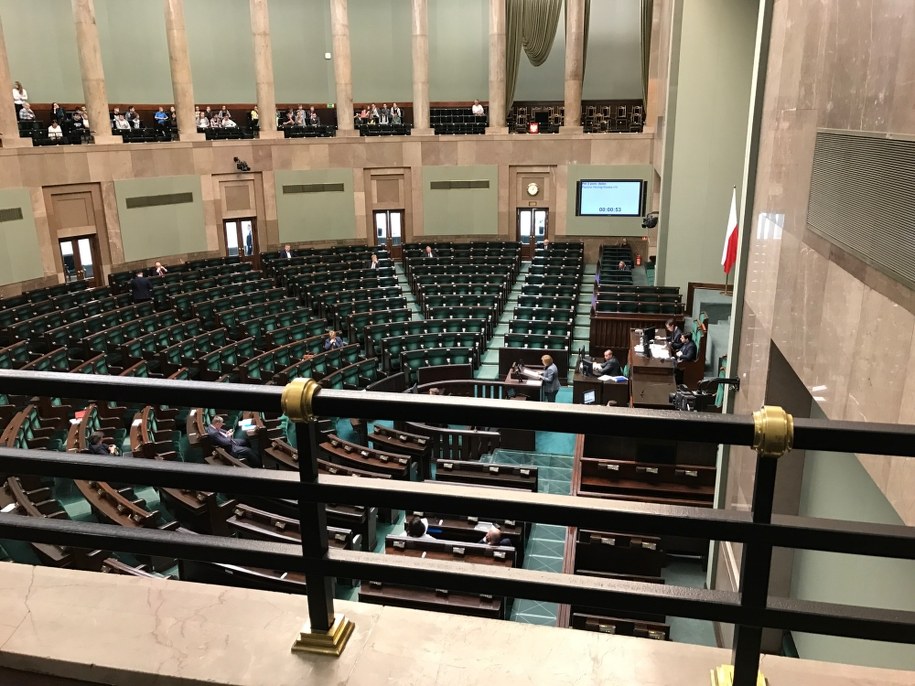 "Zakaz hodowli zwierząt futerkowych". Dziś w Sejmie "Piątka dla zwierząt"