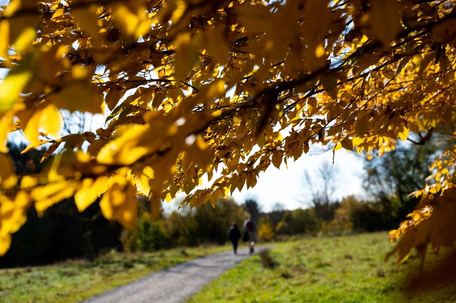 Wtorek ciepły, ale pochmurny. Sprawdź prognozę pogody!