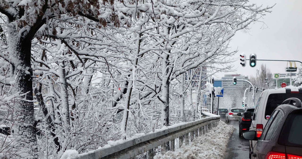 Zdjęcie ilustracyjne /Piotr Kamionka/ REPORTER /Reporter