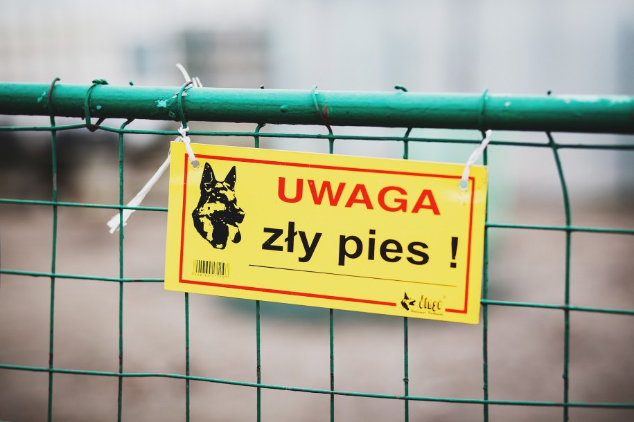 Szokujące sceny w Słupcy. Agresywny pies rzucił się na kobietę