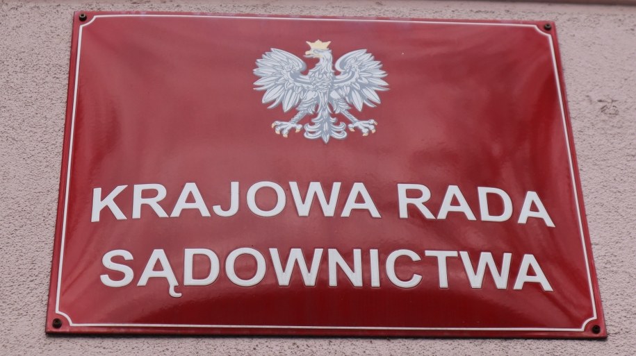 Członkowie KRS dorabiali na komisjach. „Nie stwierdzono nieprawidłowości”