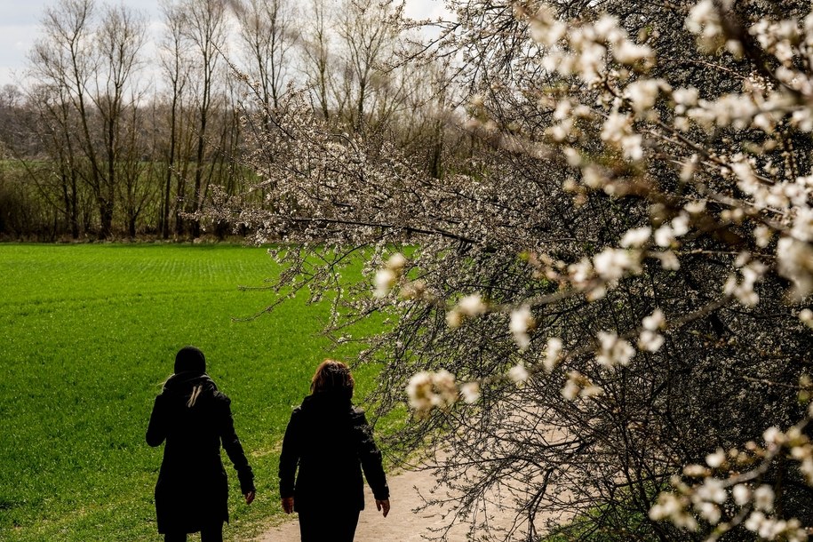 Cieplej i więcej słońca. W weekend nawet 20 stopni