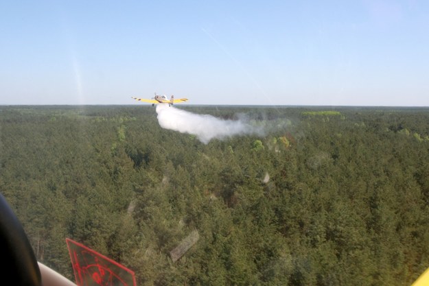 Pożar lasów pod Warszawą. "Trochę ich teraz będzie"