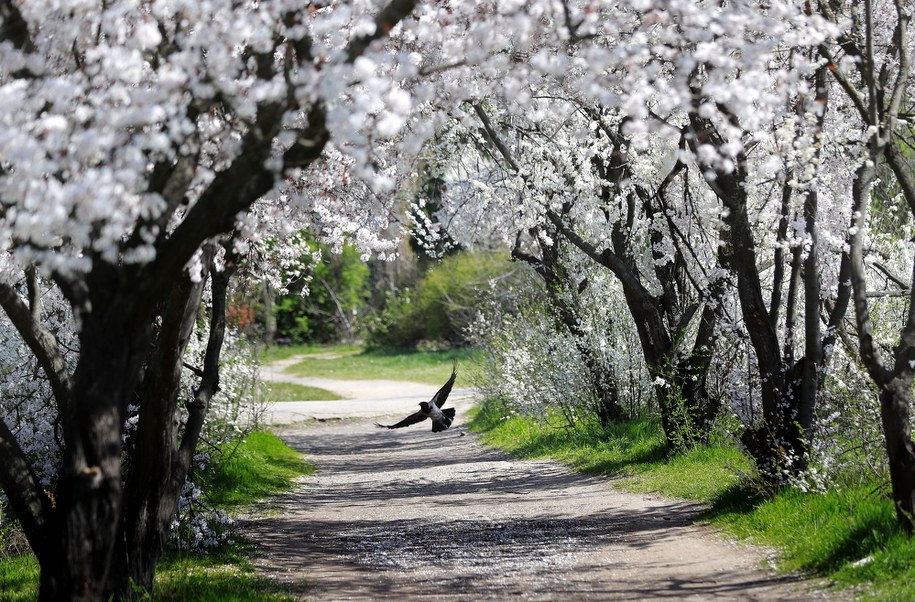 Prognoza IMGW. W weekend czeka nas zmiana pogody