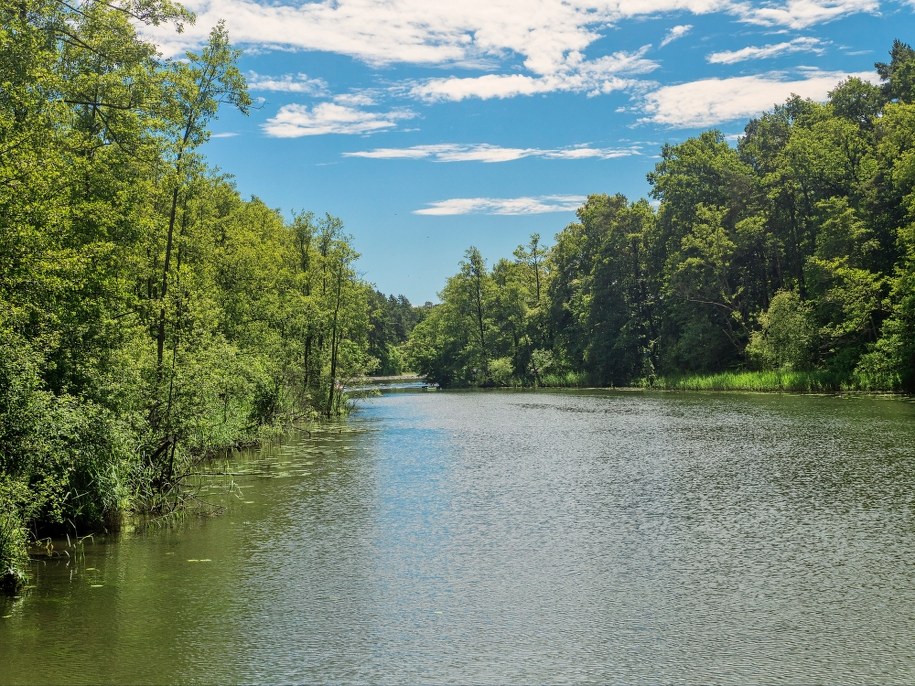 Półtoraroczne dziecko wpadło do rzeki Regi. Było pod opieką dziadka