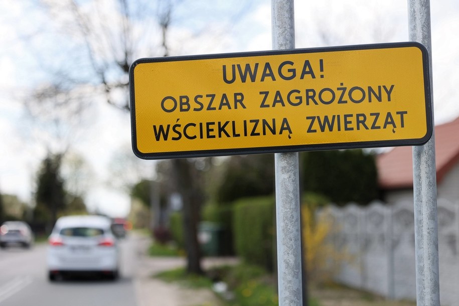 Uwaga, wścieklizna! W części Olsztyna wprowadzono obostrzenia