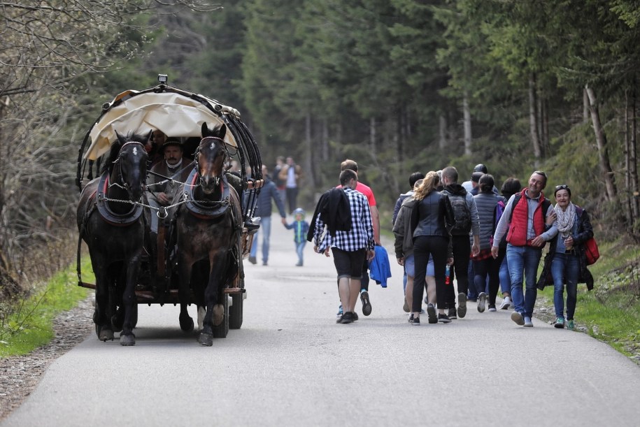 Turyści z małpą weszli na szlak do Morskiego Oka