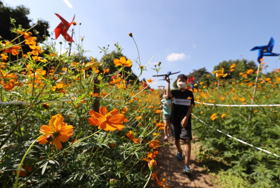 Prognoza pogody: Nadchodzi ochłodzenie. Kiedy?