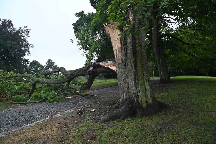 Silny wiatr w jedenastu województwach. IMGW ostrzega