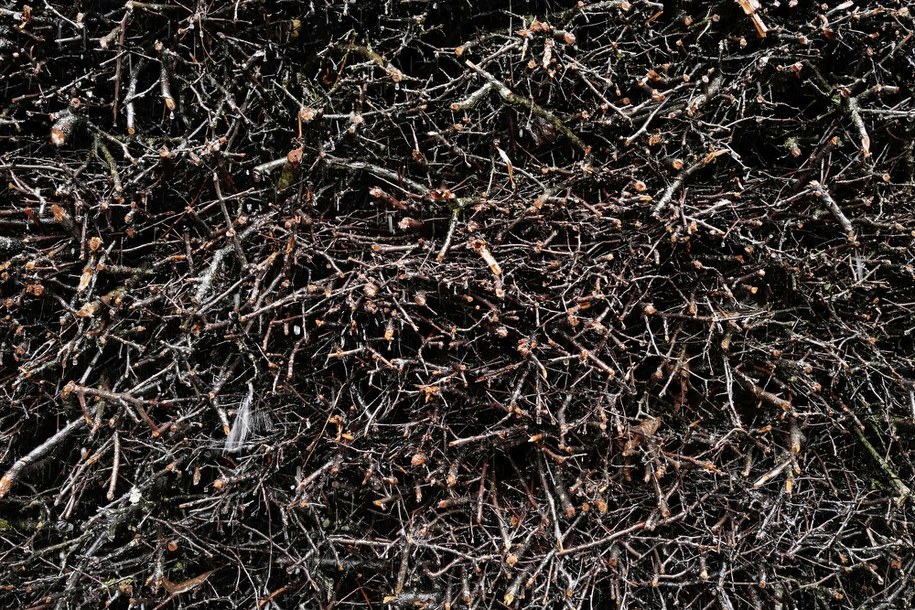 Kraków: Otwarto tężnię solankową na Bagrach