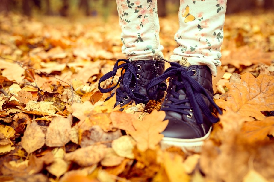 3-latka błąkała się po Wrocławiu. Matka usłyszała zarzuty