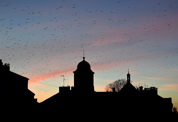 Prognoza pogody na wtorek. Może pojawić się deszcz