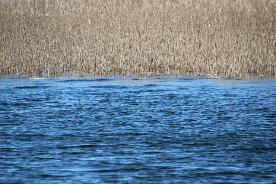 Racibórz: Ciało wyłowione z Odry. W sprawie zatrzymano dwie osoby